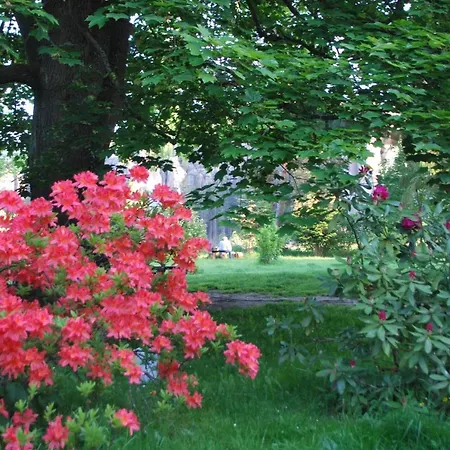 Casa di campagna U Meieru